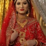 Wedding saree
